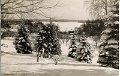 Utsikt från Ekåsa Pensionat, Björboholm. Postgånget 28 december 1950. C.A. Träff 3266