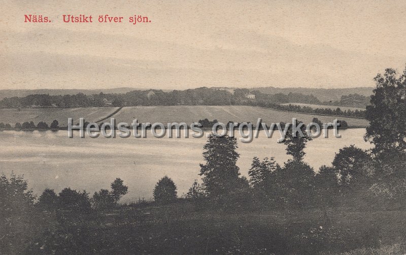 Nääs. Utsikt öfver sjön. Postgånget 4 augusti 1915.jpg