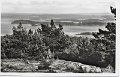 Sjövik. Utsikt över sjön Mjörn från Valåsberget. Postgånget 21 augusti 1957. Träff 3361