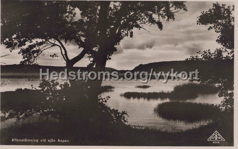 Aftonstamning vid sjon Aspen. Odaterat. Forlag Jonsereds Kiosk. C.A. Traff. 3269.jpg - Aftonstämning vid sjön Aspen.Odaterat.Förlag: Jonsereds Kiosk.C.A. Träff. 3269.