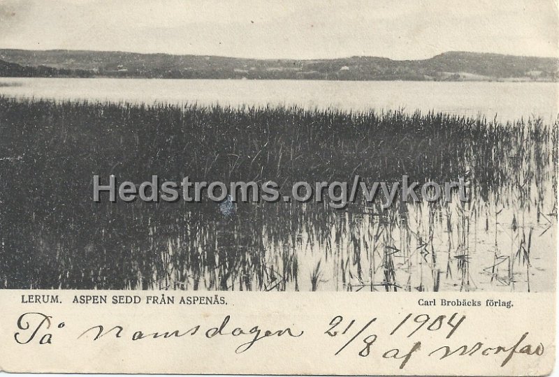 Lerum. Aspen sedd fran Aspenas. Daterat 21 8 1904. Carl Brobacks forlag.jpeg - Lerum. Aspen sedd från Aspenäs.Daterat 21 augusti 1904.Carl Brobäcks förlag.