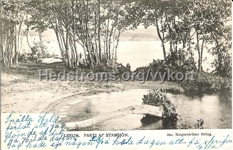 Lerum. Parti af Stamsjon. Postganget 27 januari 1905. Jac. Hægerstroms forlag. Samma vy som de som heter Lerum Strandparti.jpg - Lerum. Parti från Stamsjön.Längst till vänster på Aspenäsbadet alldeles bredvid Säveåns utlopp även om det står Stamsjön. Se även de andra bilderna med samma motiv från Aspen.Postgånget 27 jan 1905.Jac. Haegerstöms förlag.