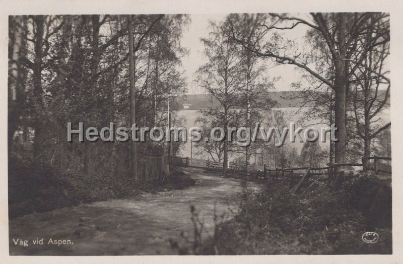 Vag vid Aspen. Postgangen 8 augusti 1935.jpg - Väg vid Aspen.Postgånget 8 augusti 1935.