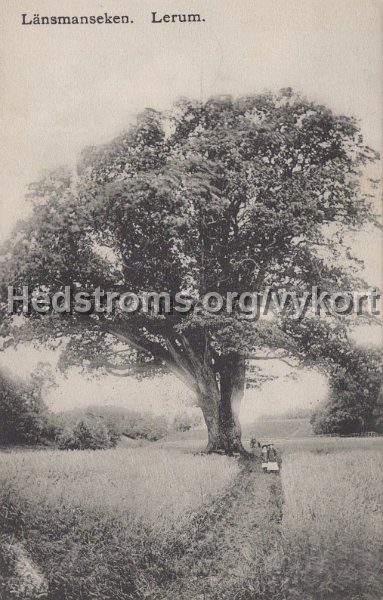 Lansmanseken. Lerum. Postganget 21 augusti 1908,. Forlag Jac. Hægerstrom, lerum.jpg - Länsmanseken. Lerum.Postgånget 21 augusti 1908.Förlag: Jac. Hægerström, Lerum.