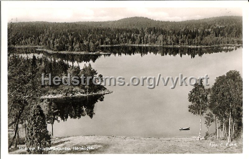 Skid- och Friluftsframjandet, Harskogen, Lerum. Daterad Paskdagen 1952. Foto C. Ewert.jpg - Skid- och Friluftsfrämjandet, Härskogen.Daterad Påskdagen 1952.Foto: C. Ewert.