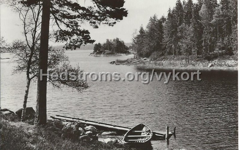 Utsikt over Stora Harsjon. Odaterat. Foto Ralph M Evers.jpeg - Utsikt över Stora Härsjön.Odaterat.Foto: Ralph M Evers