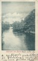 Safvean vid Lerum. Postganget 1 augusti 1902.  D No. 461