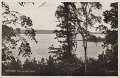 Jonsered. Parti av sjön Aspen. Postgånget 8 mars 1949. Pressbyrån 19398