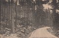 Skogsparti mellan Stålebo och Kärret. Postgånget 24  maj 1916