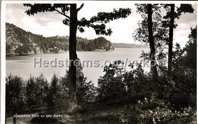 JonseredParti av sjon Aspen. Postganget 6 augusti 1945. Svenska Pressbyran 19399.jpg - JONSERED Parti av sjön Aspen.