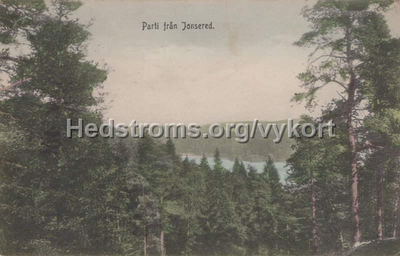 Parti fran Jonsered. Postganget 7 janiuari1910.jpg - Parti från Jonsered.Postgånget 7 januari1910.