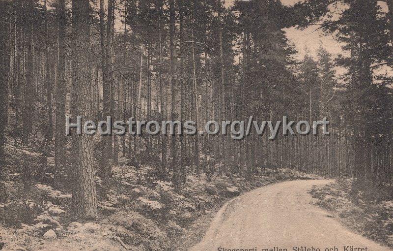 Skogsparti mellan Stalebo och Karret. Postganget 24  maj 1916.jpg