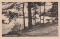Stamsjön, Lerum. Postgånget 1930. Foto o. förlag C.A. träff, Göteborg.