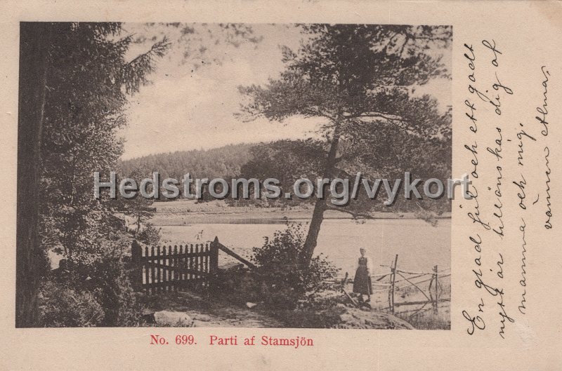 No 699. Parti af Stamsjon. Postganget 23 december 1902.jpg - No 699. Parti af Stamsjön.Postgånget 23 december 1902.