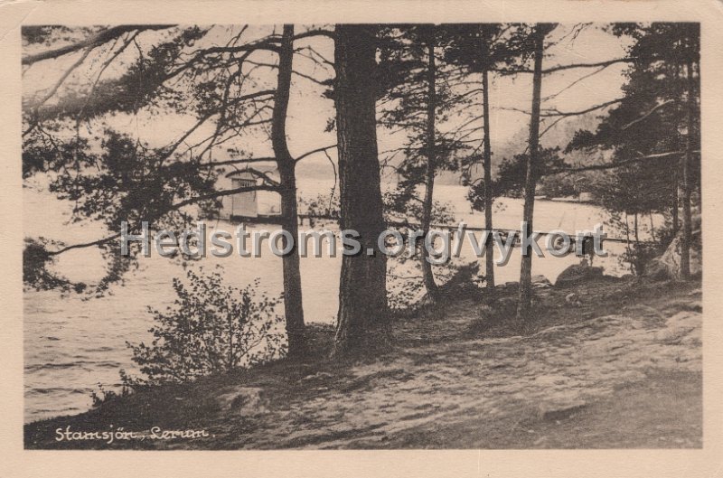 Stamsjon, Lerum. Postganget 1930. Foto o. forlag C.A. traff, Goteborg..jpg - Stamsjön, Lerum.Postgånget 1930.Foto o. förlag: C.A. Träff, Göteborg.
