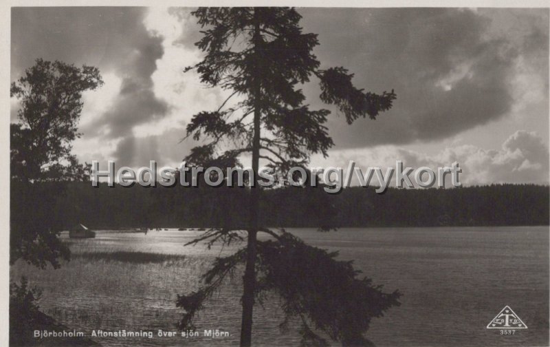 Bjorboholm. Aftonstamning over sjon Mjorn. Postganget 5 augusti 1944. C. A. Traff. 3537.jpg - Björboholm. Aftonstämning över sjön Mjörn.Postgånget 5 augusti 1944.C. A. Träff. 3537.