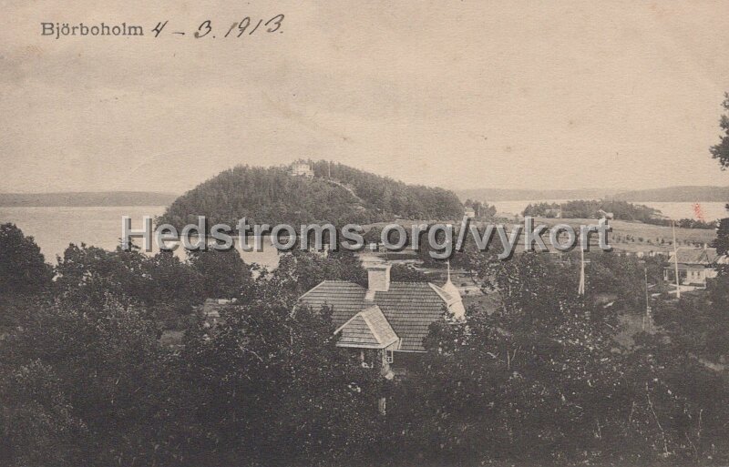 Bjorboholm. Postganget 4 mars 19013. Foto.  Forlag Olga Rinamn, Goteborg.jpg - Björboholm.Postgånget 4 mars 19013.Foto. & Förlag: Olga Rinamn, Göteborg.