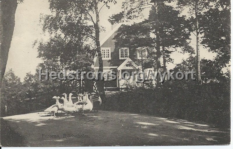 Furorna, Bjorboholm. Postganget 30 augusti 1918. Foto, Forlag Olga Rinman, Goteborg.jpeg - Furorna, Björboholm.Postgånget 30 augusti 1918.Foto & Förlag: Olga Rinman, Göteborg.