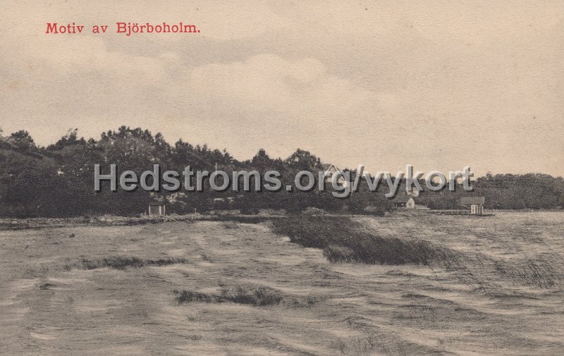 Motiv av Bjorboholm. Odaterat. J. E. Lindquists Vykortsforlag, Bjorboholm.jpg - Motiv av Björboholm.Odaterat.J. E. Lindquists Vykortsförlag, Björboholm.