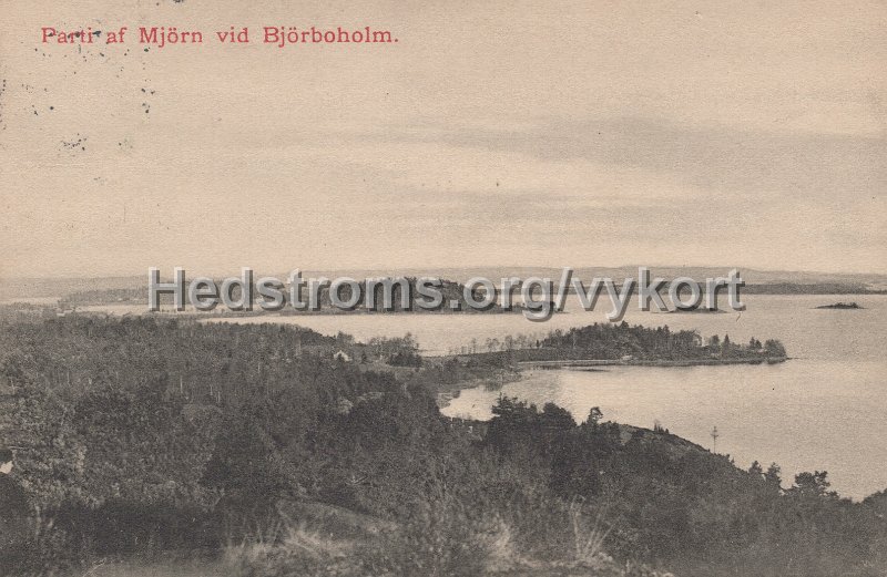 Parti av Bjorboholm vid Mjorn. Postganget 27 juni 1909.jpg - Parti av Björboholm vid Mjörn.Postgånget 27 juni 1909.