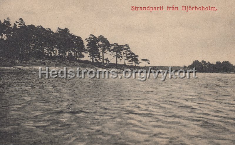 Strandparti fran Bjorboholm. Odaterat. J. E. Lindquists vykortsforlag, Bjorboholm.jpg - Strandparti från Björboholm.Odaterat.J. E. Lindquists vykortsförlag, Björboholm.