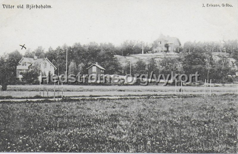 Villor vid Bjorboholm. Odaterat. J. Erikson, Grabo.jpeg - Villor vid Björboholm.Odaterat.J. Erikson, Gråbo.