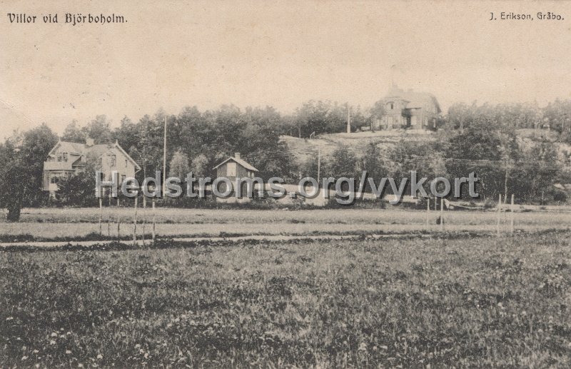 Villor vid Bjorboholm. Postganget 28 januari 1911. J. Erikson, Grabo.jpg - Villor vid Björboholm.Postgånget 28 januari 1911.J. Erikson, Gråbo.