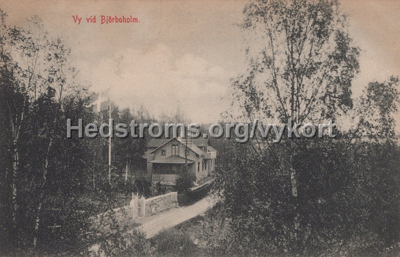 Vy over Bjorboholm. Postganget 23 juli 1907..jpg - Vy över Björboholm.Postgånget 23 juli 1907.