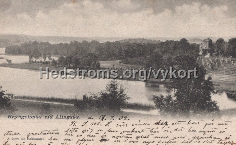 Bryngelsnas vid Alingsas. Postganget 17 september 1902. A. Norelius Bokhandel.jpg - Bryngelsnäs vid Alingsås.Postgånget 17 september 1902.A. Norelius Bokhandel.