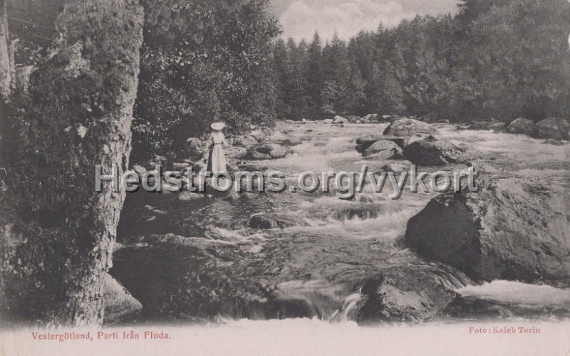 Vestergotland, Parti fran Floda. Postganget 5 januari 1905. Alingsas Pappershandel. Foto Kaleb Torin.jpg - Vestergötland, Parti från Floda.Postgånget 5 januari 1905.Alingsås Pappershandel.Foto: Kaleb Torin.