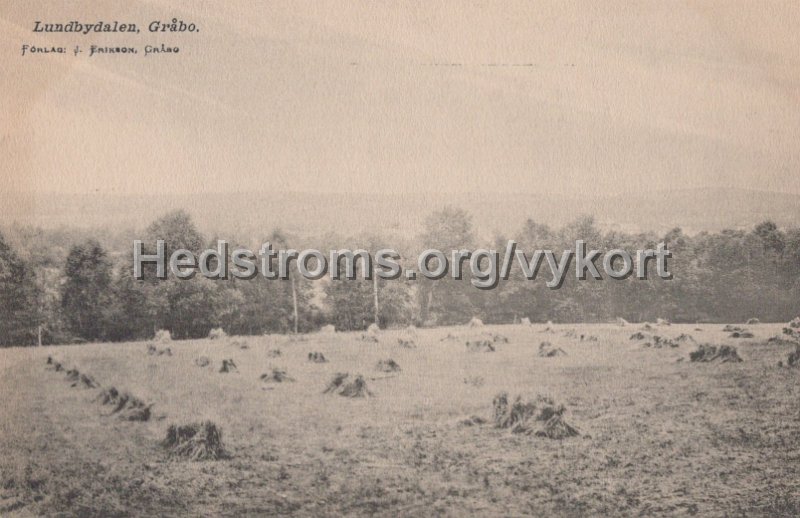 Lundbydalen, Grabo. Odaterat. Forlag J. Erikson, Grabo.jpg - Lundbydalen, Gråbo.Odaterat.Förlag: J. Erikson, Gråbo.