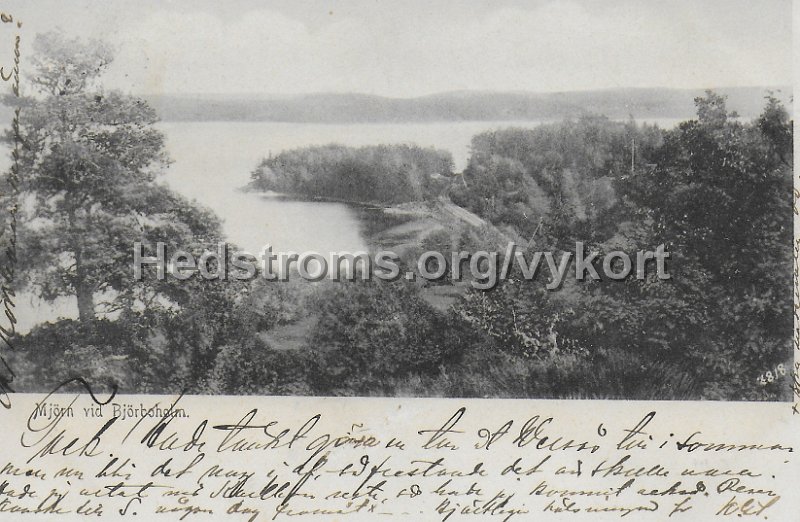 Mjorn vid Bjorboholm. Posganget 19 augusti 1904.jpeg - Mjörn vid Björboholm.Posgånget 19 augusti 1904.