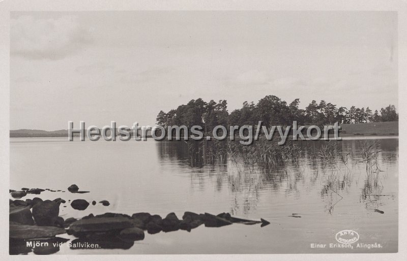 Mjorn vid Gallviken. Postganget 14 juli 1942. Einar Erikson, Alingsas.jpg - Mjörn vid Gallviken.Postgånget 14 juli 1942.Einar Erikson, Alingsås.