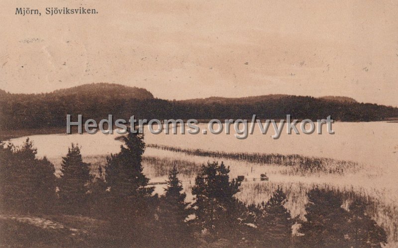 Mjorn, Sjoviksviken. Postganget 8 juni 1919Foto. G. Blomkvist.jpg - Mjörn, Sjöviksviken.Postgånget 8 juni 1919.Foto. G. Blomkvist.