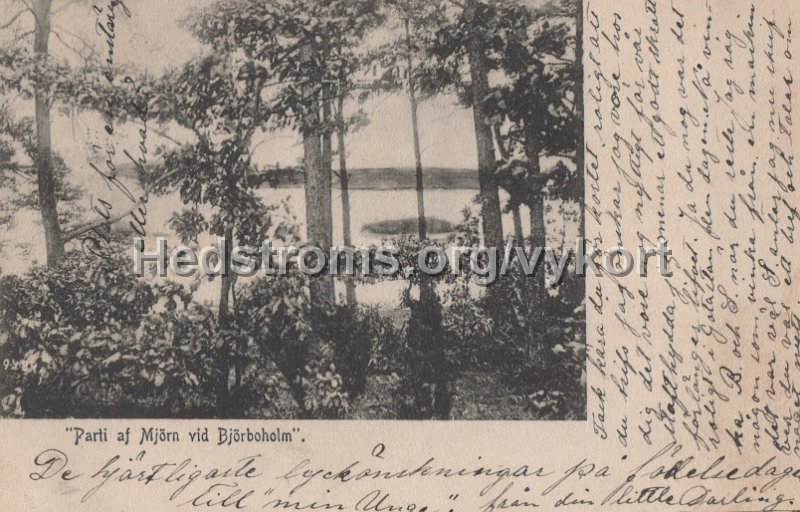 Parti af Mjorn vid Bjorboholm. Postganget 18 juli 1905.jpg - Parti af Mjörn vid Björboholm.Postgånget 18 juli 1905.