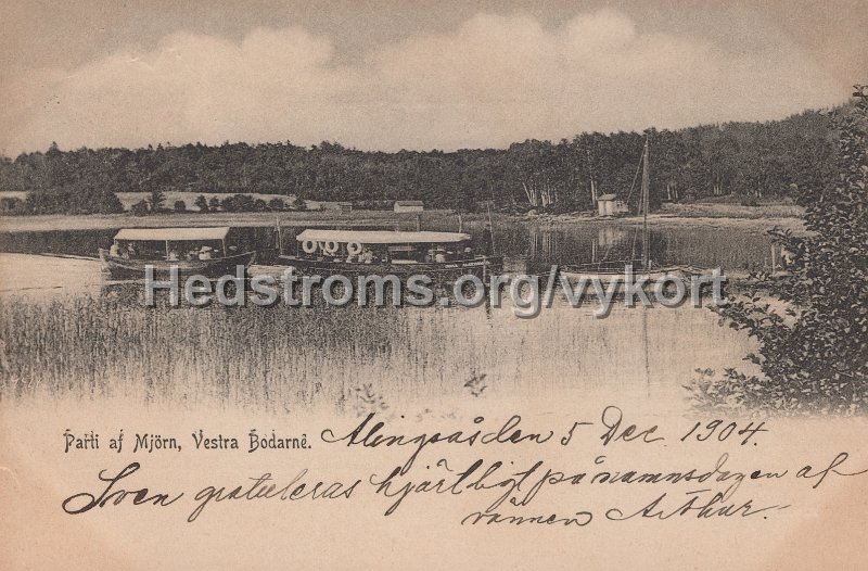 Parti af Mjorn, Vestra Bodarne. Postganget 5 december 1904.jpg - Parti af Mjörn, Vestra Bodarne.Postgånget 5 december 1904.