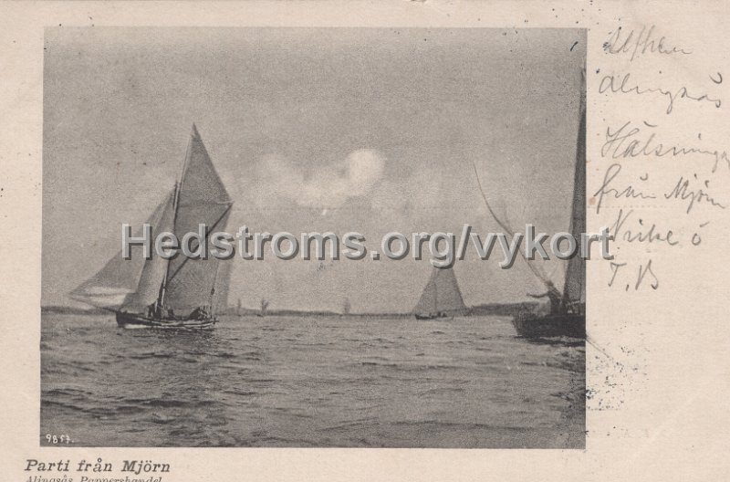 Parti fran Mjorn. Postganget 6 januari 1905. Alingsas Pappershandel.jpg - Parti från Mjörn.Postgånget 6 januari 1905.Alingsås Pappershandel.