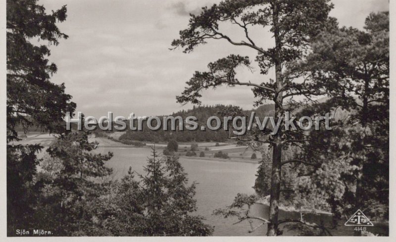 Sjon Mjorn. Odaterat. Forlag Broderna Erikson, Sjovik. C. A. traff. 4148.jpg - Sjön Mjörn.Odaterat.Förlag: Bröderna Erikson, Sjövik.C. A. Träff. 4148.