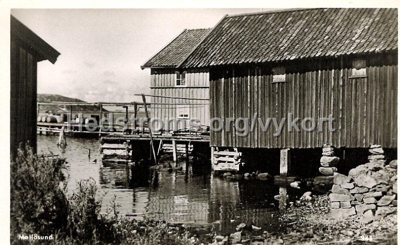 Hamnen Mollosund. Ej daterat, ej postganget.jpeg - Hamnen Mollösund. Ej daterat, ej postgånget