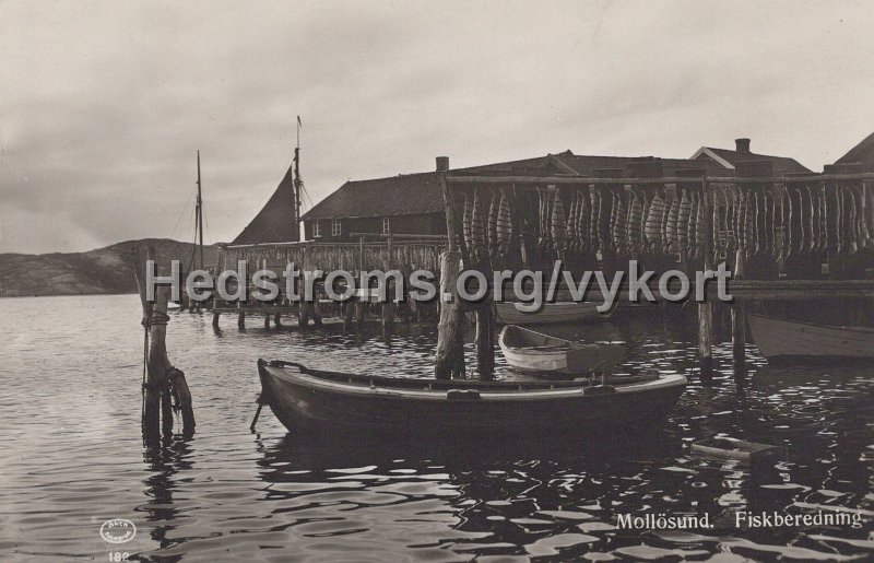 Mollosund. Fiskberedning. Odaterat. Forlag A. Larsson, Mollosund. 182.jpg - Mollösund. Fiskberedning.Odaterat.Förlag: A. Larsson, Mollösund. 182.