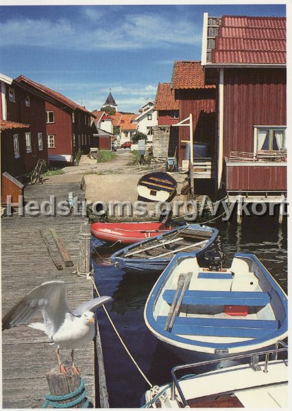 Mollosund. Idylliskt fiskelage i Bohuslan. Odaterat. Carlaforlaget AB. 4126..jpg - Mollösund. Idylliskt fiskeläge i Bohuslän.Odaterat.Carlaförlaget AB. 4126.