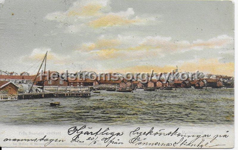 Fran Sveriges vastkust. Mollosund.jpeg - Från Sveriges västkust. Mollösund.Postgånget 20 maj 1909.Le Maoine & Malmeström KOnstförlag, Göteborg. 262.