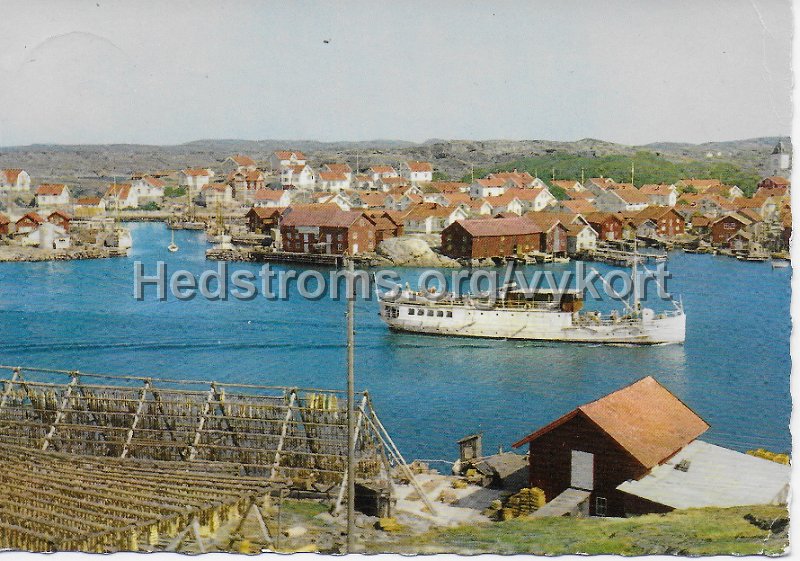 Mollosund. Hamnsundet. I forgrunden Spilllanga torkas.jpeg - Mollösund. Hamnsundet.I förgrunden Spilllånga torkas.