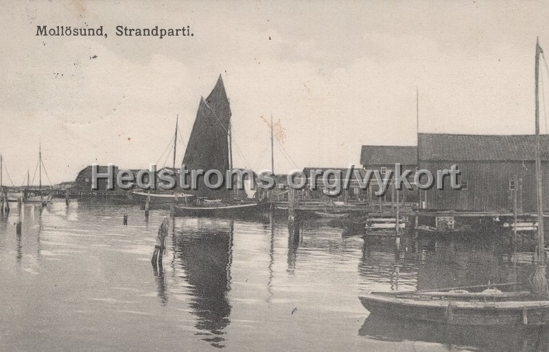 Mollosund. Strandparti. Postganget 8 augusti 1913. AM, Mattsson, Mollosund.jpg - Mollösund, Strandparti.Postgånget 8 augusti 1913.AM, Mattsson, Mollösund.