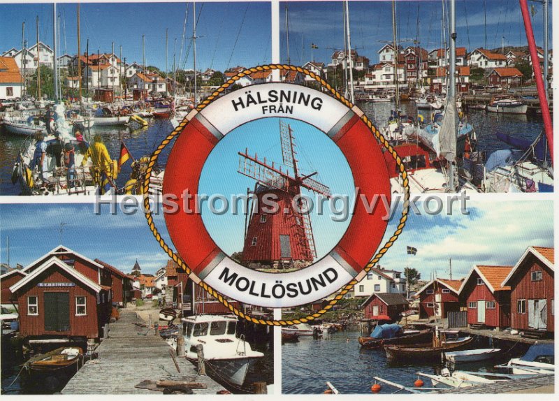 Halsning fran Mollosund. Odaterat. Carlaforlaget AB. 4128..jpg - Hälsning från Mollösund.Odaterat.Carlaförlaget AB. 4128.