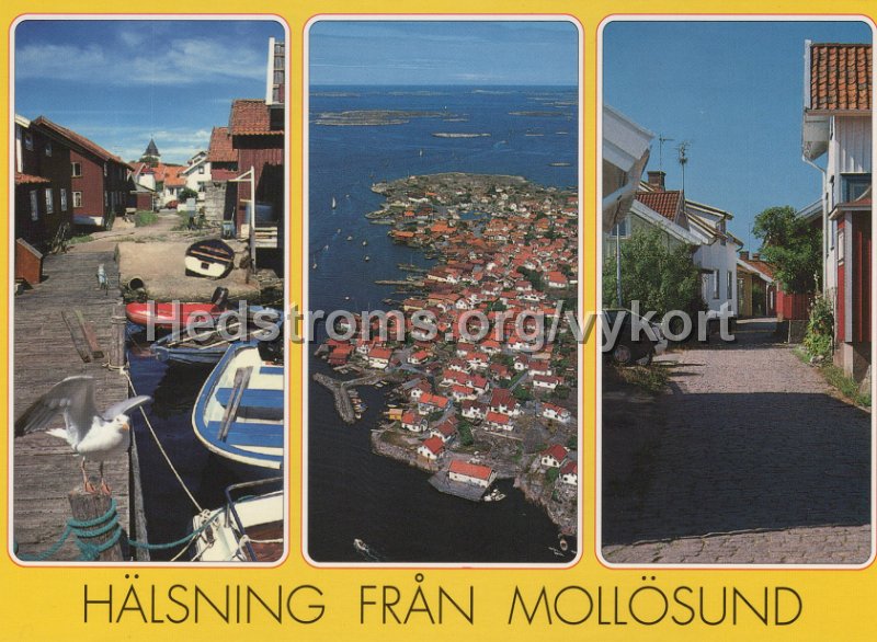 Halsning fran Mollosund. Odaterat. Carlaforlaget AB. R4260.jpg - Hälsning från Mollösund.Odaterat.Carlaförlaget AB. R4260.