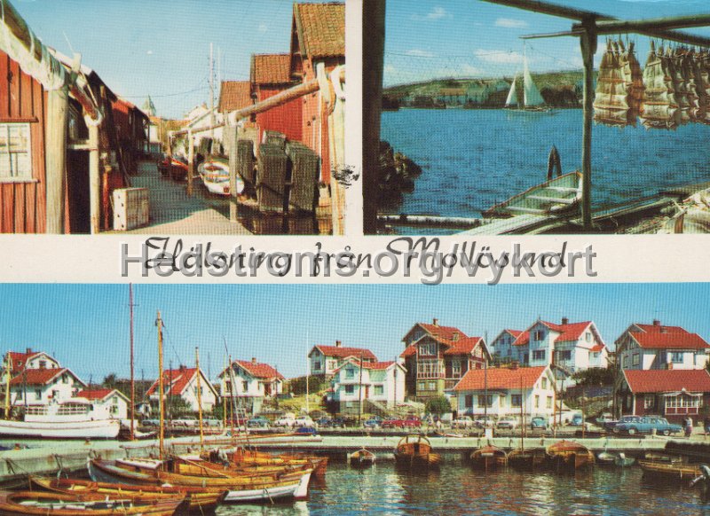 Halsning fran Mollosund. Odaterat. Copyright AB. H. Lindenhar. Nr 1037.jpg - Hälsning från Mollösund.Odaterat.Copyright: AB. H. Lindenhag. Nr 1037.
