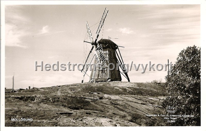 MOLLOSUND. Odaterat. Ensamratt  Fotot O. Lilljeqvists Konstforlag, Dals Langed. G 338..jpg - MOLLÖSUND.Odaterat.Ensamrätt & Fotot O. Lilljeqvists Konstförlag, Dals Långed. G 338.