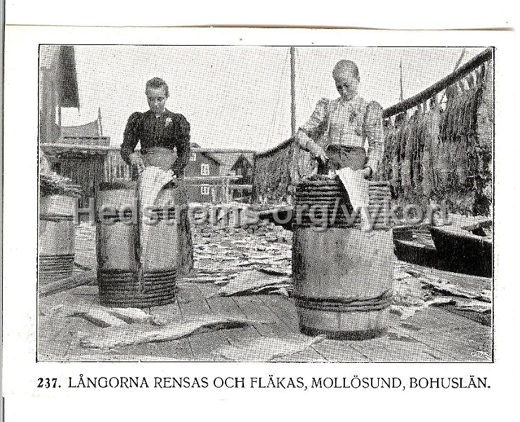 237 Langorna rensas och flakas, Mollosund, Bohuslan. Odaterat.jpeg - 237 Långorna rensas och fläkas, Mollösund, Bohuslän.Odaterat.