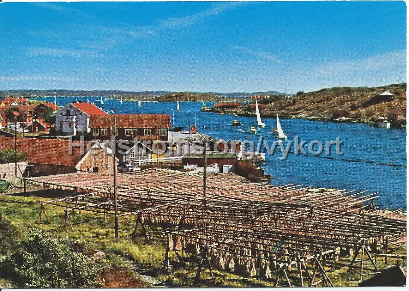 Bohuslan. Odaterat. Copyright Lindenhags, Floda. Foto Alf Bokgren. 1 482.jpeg - Bohuslän.Odaterat.Copyright: Lindenhags, Floda.Foto: Alf Bokgren. 1/482.